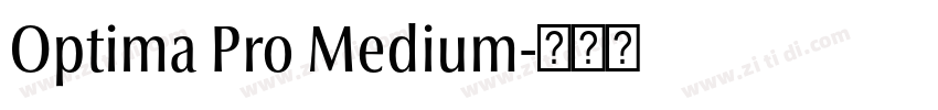 Optima Pro Medium字体转换